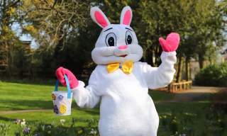 Easter Bunny at Paignton Zoo