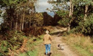Walking