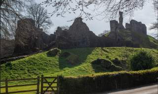 Ruins of an ancient stone castle sit atop a grassy hill under a clear blue sky. Bare tree branches frame the scene, evoking a sense of history and solitude.