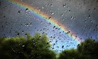 Rainy Days