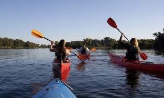 Group Kayak