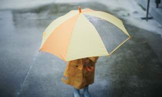 What to do on a rainy day in Devon