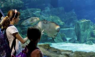 two girls at an aquarium