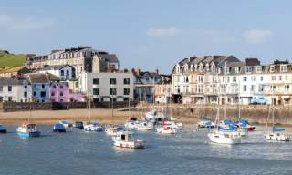 Steering Group Members