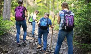 Four people with backpacks hike a rocky forest trail surrounded by lush greenery. They are using walking sticks, conveying exploration and adventure.