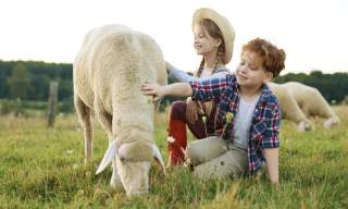 Two smiling children, a boy and a girl, pet a sheep in a sunny field. The girl in a straw hat kneels, while the boy, in plaid, reaches out joyfully.