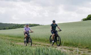 activities in the tamar valley