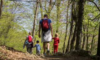 family activities