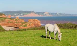view of East Devon cliffs