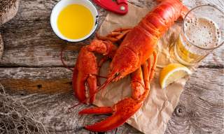 Cooked Lobster and a pint of Beer