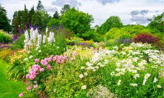 Parks and Gardens