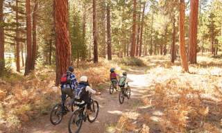family of four cycling in a wood in autumn