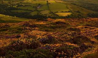 view of dartmoor at sunset