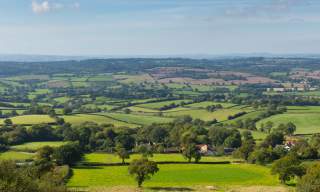 blackdown hills