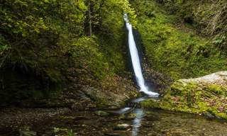 A serene waterfall cascades down a moss-covered cliff into a tranquil stream, surrounded by lush greenery and scattered autumn leaves, evoking calm.