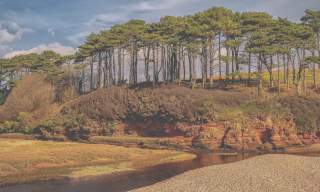 Visit Budleigh reconnect with nature