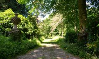 Discover Devon’s lost 18th Century carriage ride at historic National Trust ‘pleasure grounds’