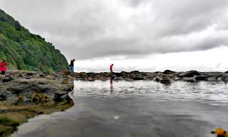 Rainy Days in Devon