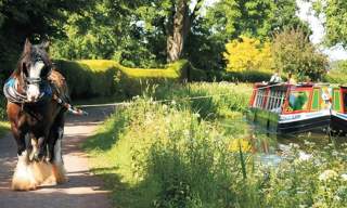 Things to do in Mid Devon this spring