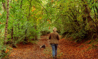 lady walking dog