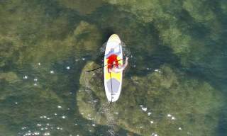 person paddleboarding