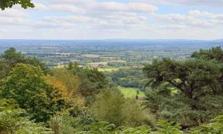 View from Black Down