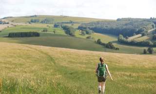 Walking in South Downs