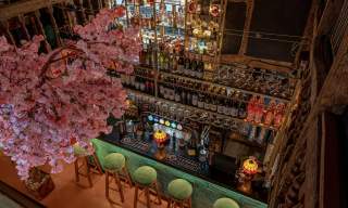 the bar at Turkuaz Social, Chichester