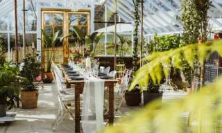 Spring Gardens Nursery
