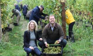 Grape pickers at Tinwood