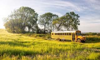 A converted american school bus in a field