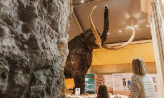 Hull & East Riding Archaeology Museum Shortlisted for National Award