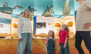 Hull Summer Family Events Calendar 2026 | Things to Do with Kids this July