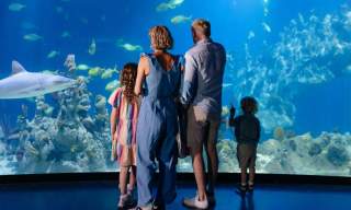 Family looking at a large aquarium display at The Deep in Hull, watching sharks, fish and coral habitats through a panoramic viewing window.