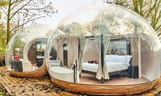 DNI Gallery - Cromore Retreat bubble dome
