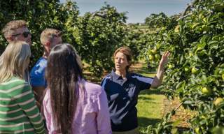 Sample County Armagh itinerary