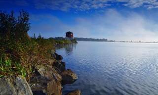 Oxford Island Nature Reserve