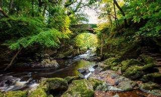 Stream and rugged bridge at Roe Valley Country Park, Limavady
