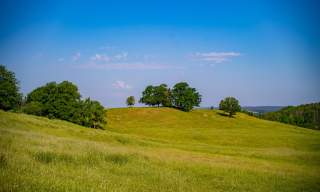 Rolling green meadows along the pilgrim path Borgleden.