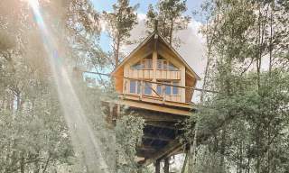 Tretopphytter på Grensen