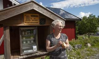 Smakfulle Haldenkanalen - Damholtet Bigård