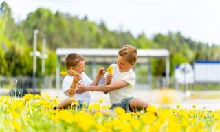 To gutter som sitter i en blomstereng