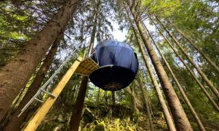 A big blue ball that hangs in the trees you can sleep in - called the blueberry