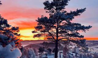 Vinter i Halden