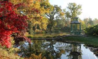 Cliveden National Trust, Water Garden, November