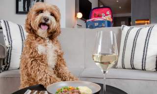 Hilton Cobham - Dog friendly Surrey
