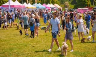 DogFest returns to Loseley Park, Guildford to celebrate its 10th anniversary