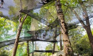 Nets Adventure at Go Ape