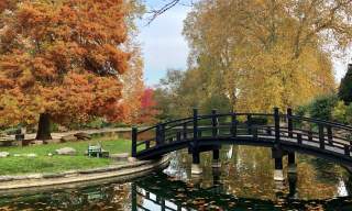 A bridge over a pond at Stoke Park Guildford