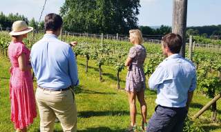 High Clandon Vineyard